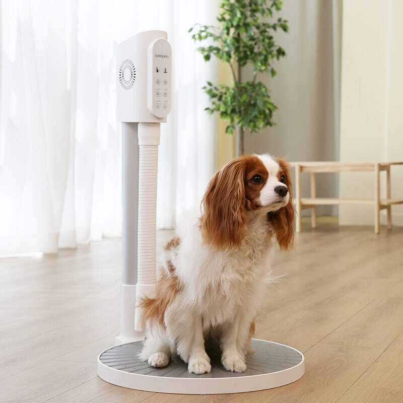 (주)메쉬,듀얼팬 펫드라이기 벨로펠로 bellopelo